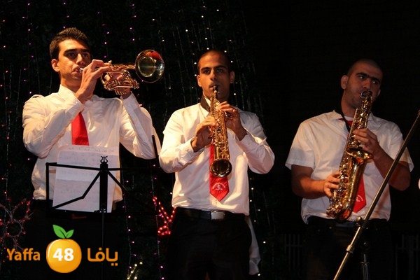 tree light 1208 (114).JPG